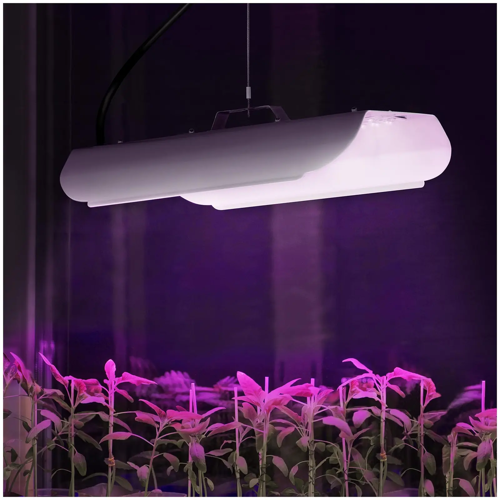 LED-Pflanzenlampe - Vollspektrum - 100 W - 136 LED - 6.000 Lumen - Eurostecker
