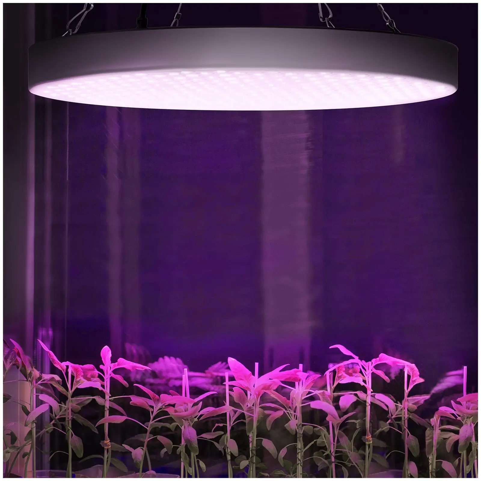 LED-Pflanzenlampe - Vollspektrum - 50 W - 250 LED - Φ 330 x 30 - 2.400 Lumen